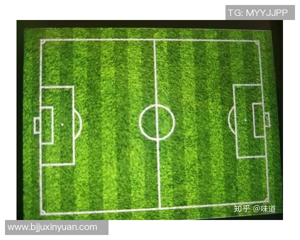 瑞士足球历史上的顶尖球员及其在国际赛场上的影响力解析